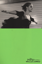 The Perks Of Being A Wallflower Poster