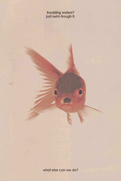 Troubling Waters?' Poster