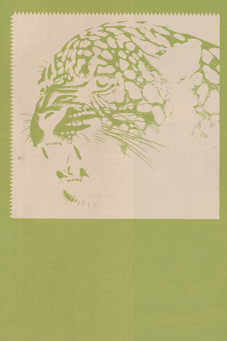 El Tigre Poster