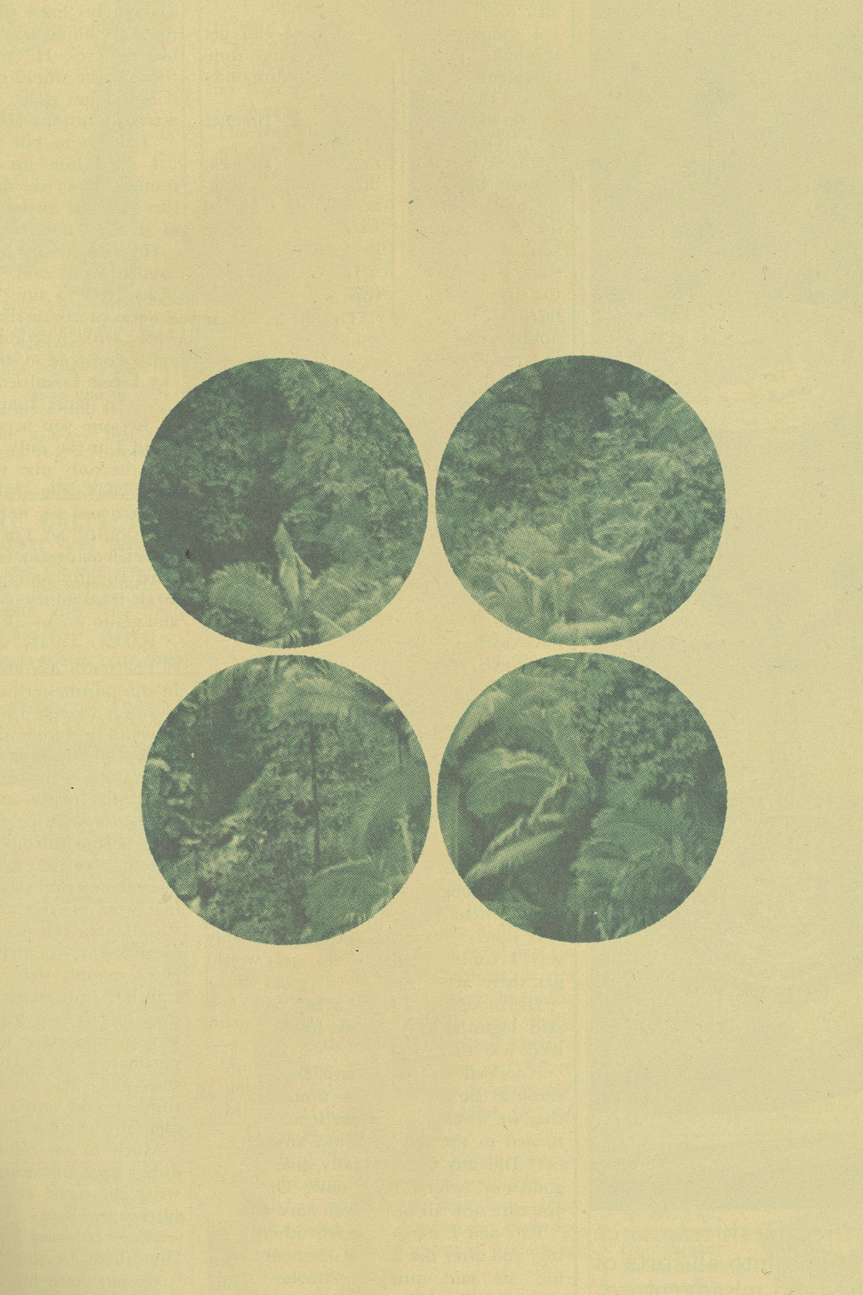 Nature, In View' Poster