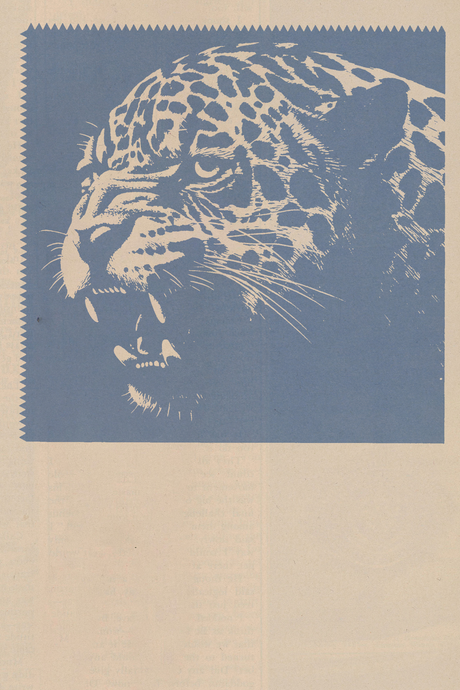 El Tigre Poster V3