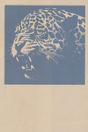 El Tigre Poster V3