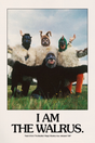 The Beatles 'The Walrus' Poster
