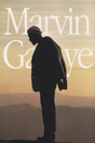 Marvin Gaye 'Mountain High' Poster - Mockup 1