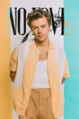 Harry Styles 'No Love' Poster