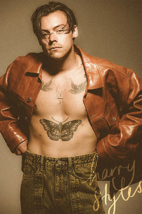 Harry Styles 'Butterfly Abs' Poster