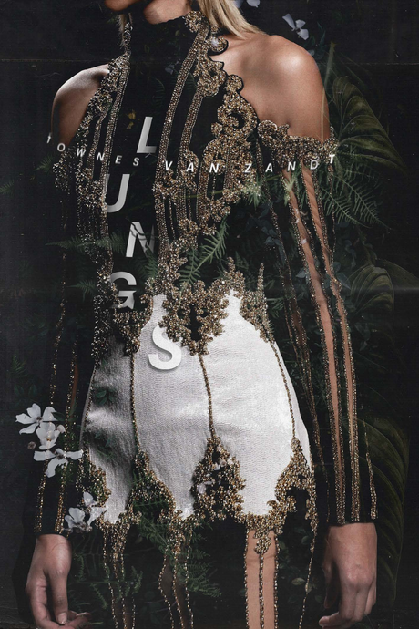 Townes Van Zandt 'Lungs' Poster