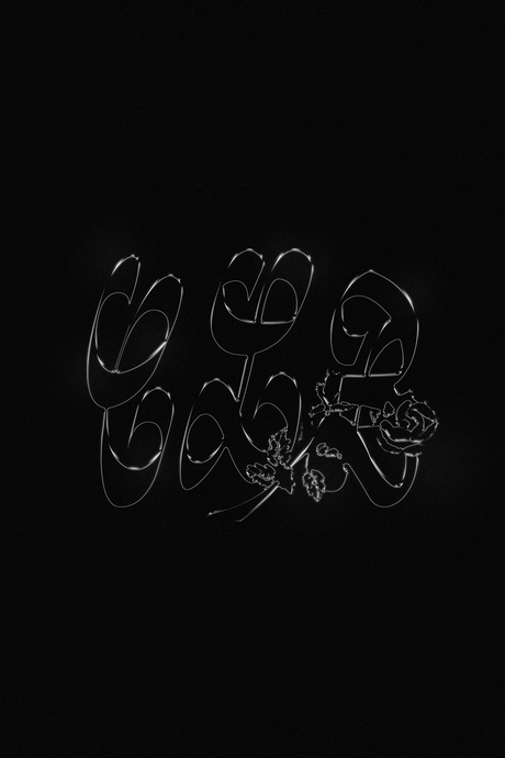 Drake Chrome 'CLB' Poster