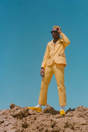 Tyler, The Creator 'Igor's Theme' Poster